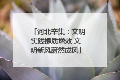 河北辛集：文明实践提质增效 文明新风蔚然成风