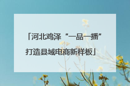 河北鸡泽“一品一播”打造县域电商新样板