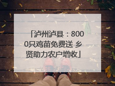 泸州泸县：8000只鸡苗免费送 乡贤助力农户增收