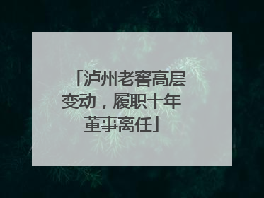 泸州老窖高层变动，履职十年董事离任