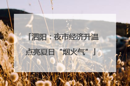泗阳：夜市经济升温 点亮夏日“烟火气”