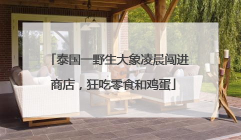 泰国一野生大象凌晨闯进商店，狂吃零食和鸡蛋