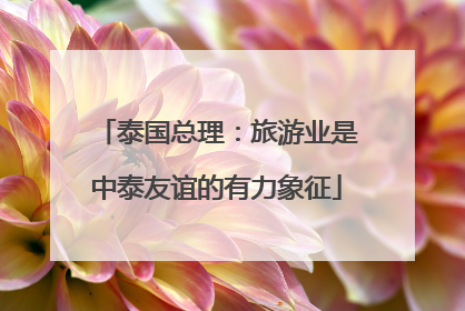 泰国总理：旅游业是中泰友谊的有力象征