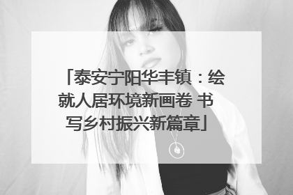 泰安宁阳华丰镇：绘就人居环境新画卷 书写乡村振兴新篇章