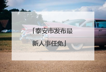 泰安市发布最新人事任免