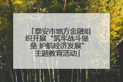 泰安市地方金融组织开展“筑牢战斗堡垒 护航经济发展”主题教育活动