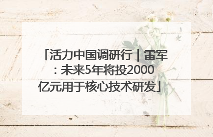 活力中国调研行｜雷军：未来5年将投2000亿元用于核心技术研发