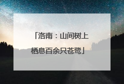 洛南：山间树上栖息百余只苍鹭