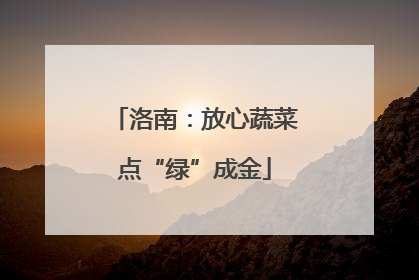洛南：放心蔬菜点“绿”成金