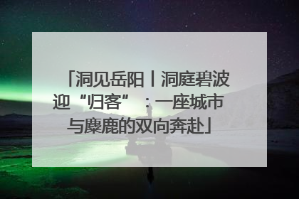 洞见岳阳丨洞庭碧波迎“归客”：一座城市与麋鹿的双向奔赴