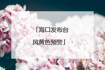 海口发布台风黄色预警