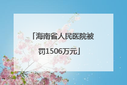 海南省人民医院被罚1506万元