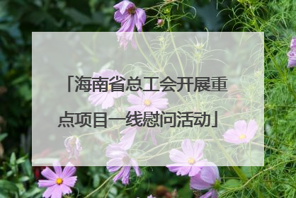海南省总工会开展重点项目一线慰问活动