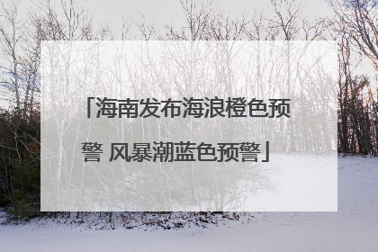 海南发布海浪橙色预警 风暴潮蓝色预警