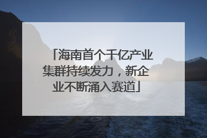 海南首个千亿产业集群持续发力，新企业不断涌入赛道