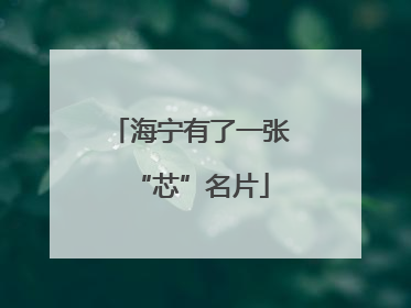 海宁有了一张“芯”名片