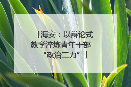 海安：以辩论式教学淬炼青年干部“政治三力”