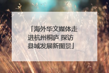 海外华文媒体走进杭州桐庐 探访县域发展新图景