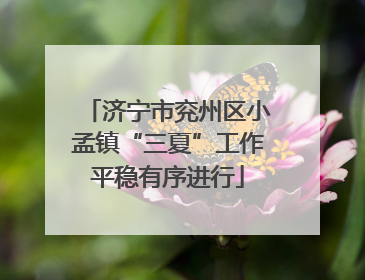 济宁市兖州区小孟镇“三夏”工作平稳有序进行