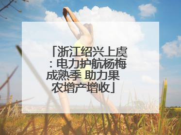 浙江绍兴上虞：电力护航杨梅成熟季 助力果农增产增收