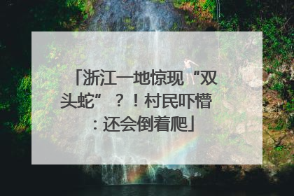 浙江一地惊现“双头蛇”？！村民吓懵：还会倒着爬
