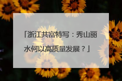 浙江共富特写：秀山丽水何以高质量发展？
