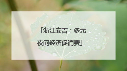 浙江安吉：多元夜间经济促消费