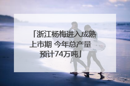 浙江杨梅进入成熟上市期 今年总产量预计74万吨