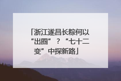 浙江遂昌长粽何以“出圈”？“七十二变”中探新路