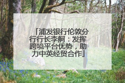 浦发银行伦敦分行行长李舸：发挥跨境平台优势，助力中英经贸合作