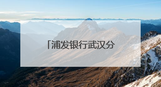 浦发银行武汉分行全面开展2025年普及金融知识万里行宣传活动