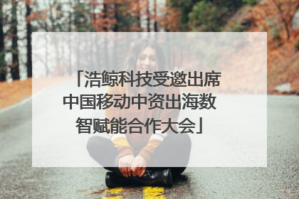 浩鲸科技受邀出席中国移动中资出海数智赋能合作大会