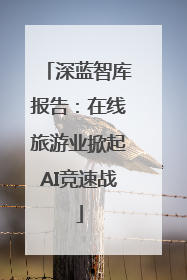 深蓝智库报告：在线旅游业掀起AI竞速战