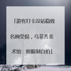 游客打卡没站稳致名画受损，乌菲齐美术馆：将限制自拍