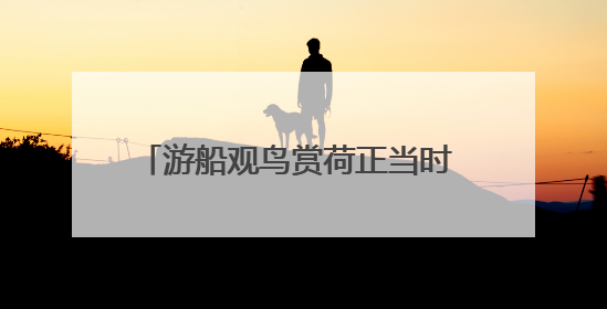 游船观鸟赏荷正当时 辽河七星湖景区开园