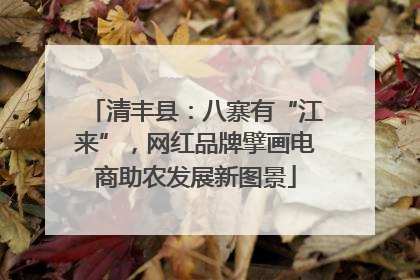 清丰县：八寨有“江来”，网红品牌擘画电商助农发展新图景
