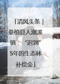 清风头条｜桑植县人潮溪镇：“迟到”5年的生态林补偿金