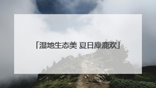 湿地生态美 夏日麋鹿欢