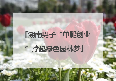 湖南男子“单腿创业”撑起绿色园林梦