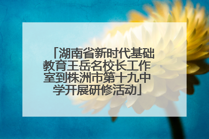 湖南省新时代基础教育王岳名校长工作室到株洲市第十九中学开展研修活动