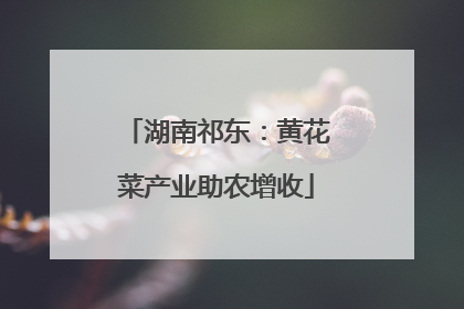 湖南祁东：黄花菜产业助农增收