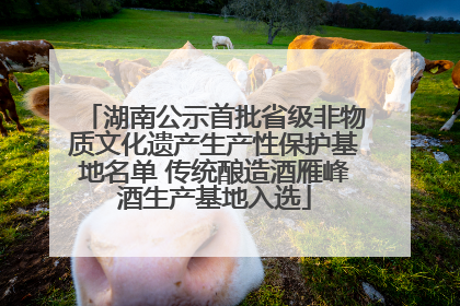 湖南公示首批省级非物质文化遗产生产性保护基地名单 传统酿造酒雁峰酒生产基地入选