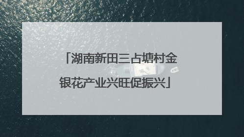 湖南新田三占塘村金银花产业兴旺促振兴