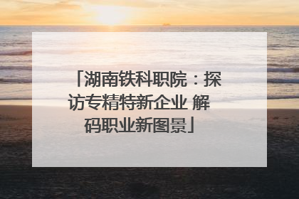 湖南铁科职院：探访专精特新企业 解码职业新图景