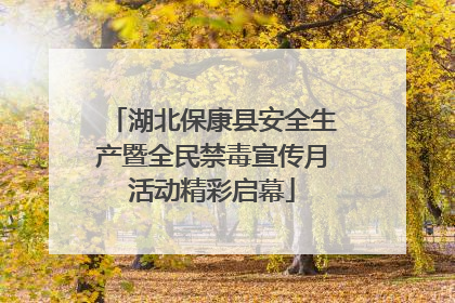 湖北保康县安全生产暨全民禁毒宣传月活动精彩启幕