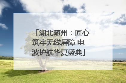 湖北随州：匠心筑牢无线屏障 电波护航华夏盛典