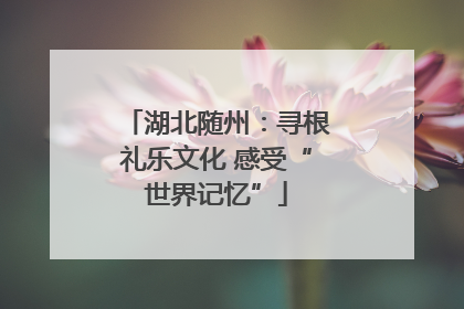 湖北随州：寻根礼乐文化 感受“世界记忆”
