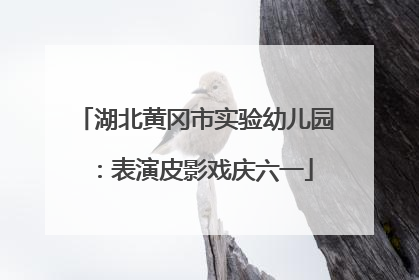 湖北黄冈市实验幼儿园：表演皮影戏庆六一