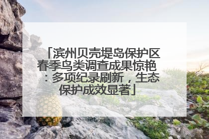 滨州贝壳堤岛保护区春季鸟类调查成果惊艳：多项纪录刷新，生态保护成效显著