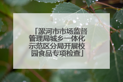 漯河市市场监督管理局城乡一体化示范区分局开展校园食品专项检查